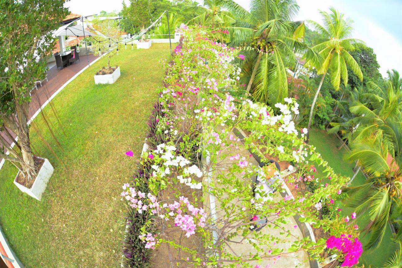 Tropical House - Jungleside Villa Hikkaduwa Buitenkant foto